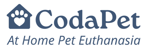 CodaPet