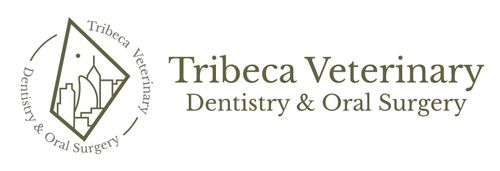 Tribeca Veterinary Dentistry & Oral Surgery