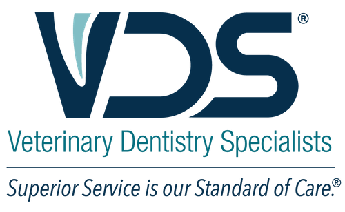 Veterinary Dentistry Specialists
