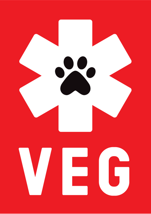 Veterinary Emergency Group