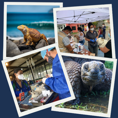 Animals and WVS Clinics in the Galapagos Islands