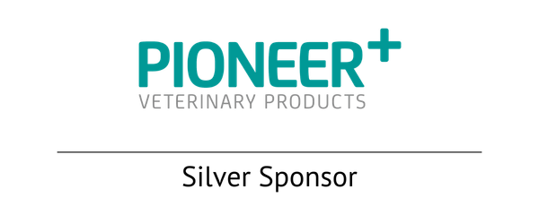 Pioneer+ silver sponsor