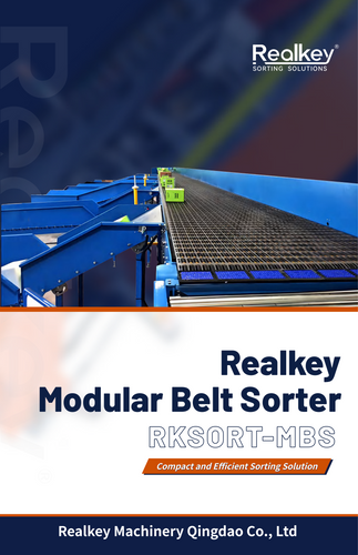 Modular Belt Sorter