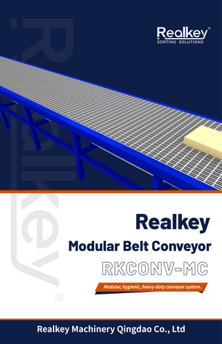 Modular Belt Conveyor
