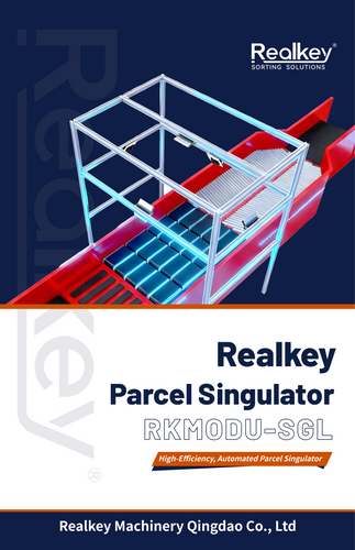 Parcel Singulator System