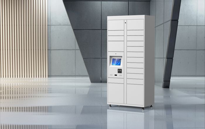 PARCEL DELIVERY LOCKER