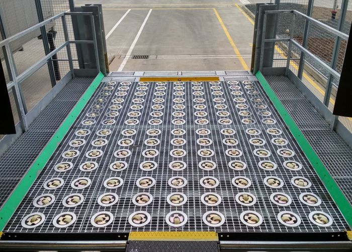 CASTOR & ROLLER DECKS 