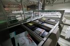 Split Tray Sorter