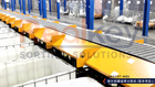 Modular Belt Sorter