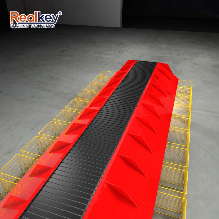 Narrow Belt Sorter