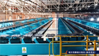 Tilt Tray Sorter