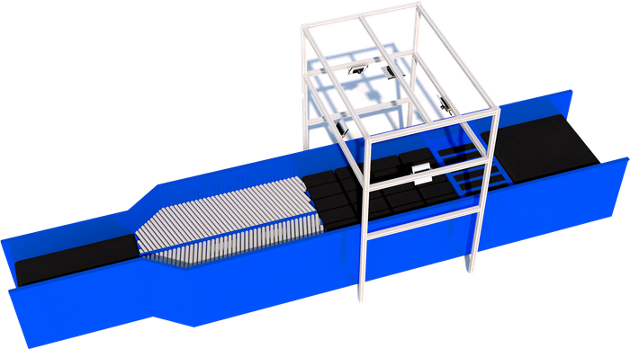 Parcel Singulator System