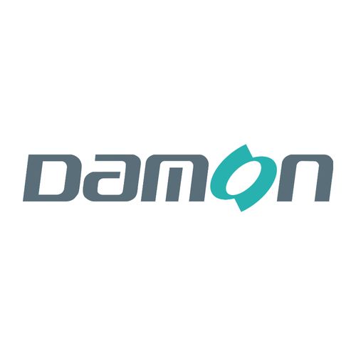 Damon Group