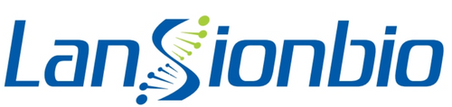 QJJ NORTH AMERICA INC