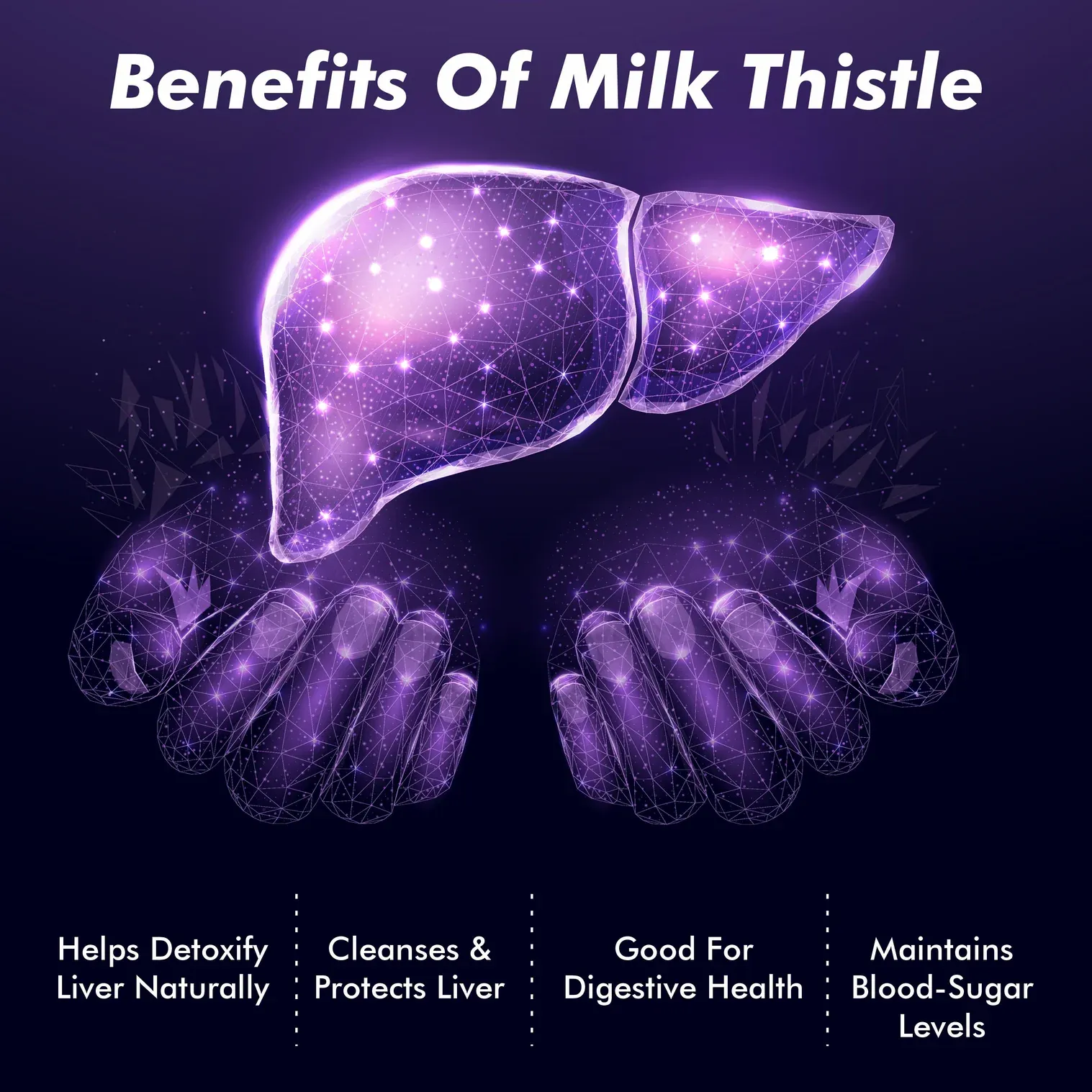 Vitaminnica Milk Thistle Natural Liver Support Pharmacy Show 2024