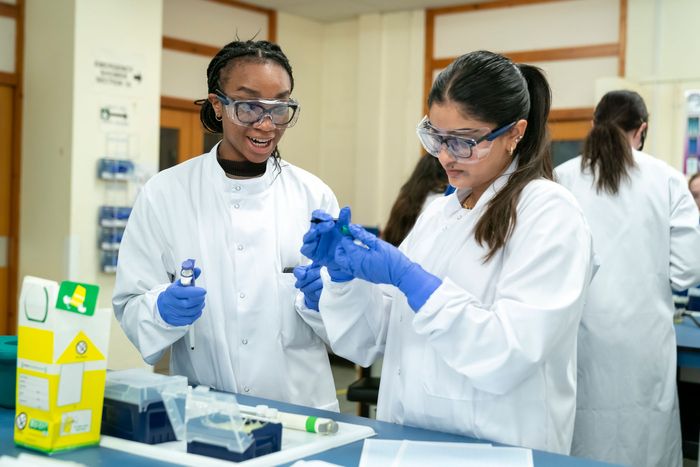 Securing the future of pharmacy through your Will