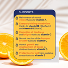 Minadex Original Multivitamin Liquid
