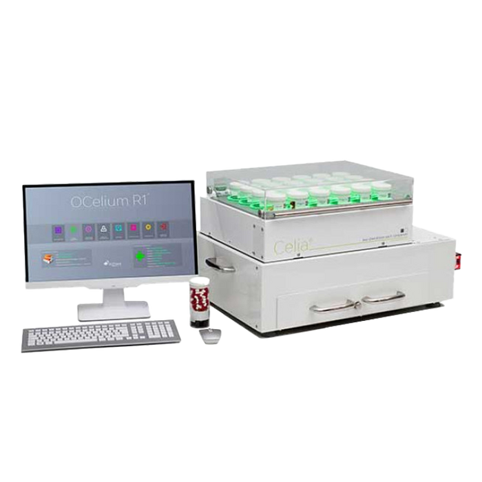 MDS Automation- Celia