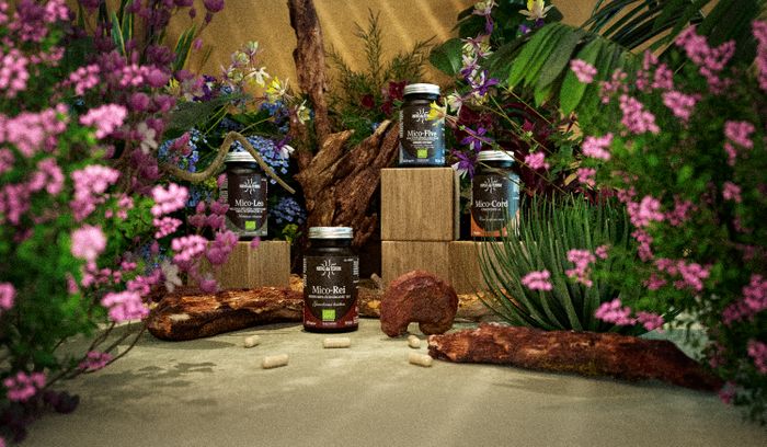 Hifas da Terra - Pure Mushroom Extracts