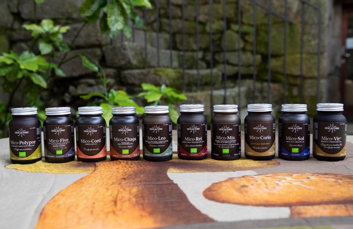 Hifas da Terra - Pure Mushroom Extracts
