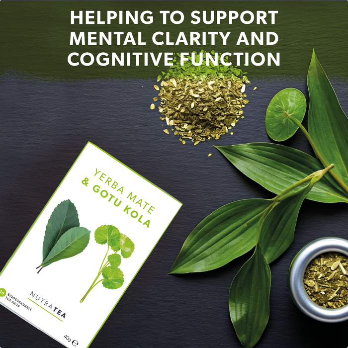 Yerba Mate & Gotu Kola Tea