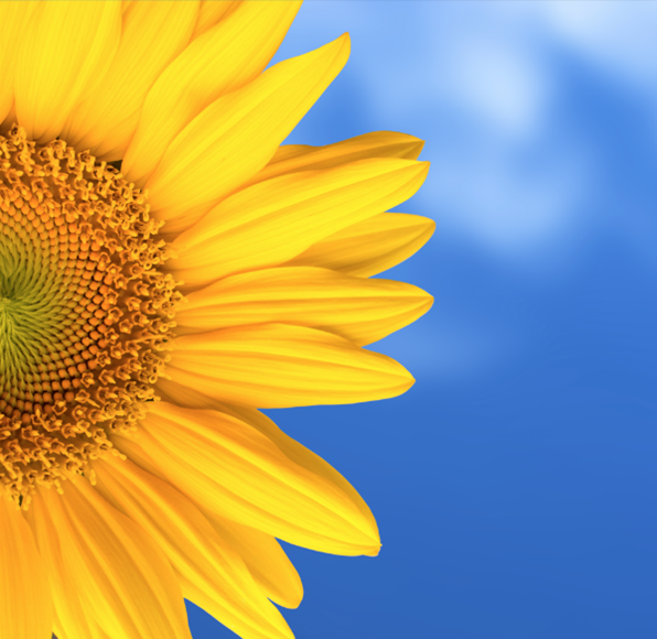 Fleurance Nature Fleur