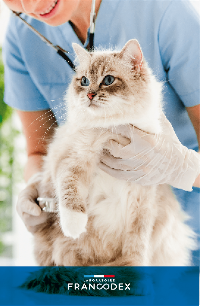 Le Laboratoire Francodex: Spécialiste de la Santé Animale depuis 1985