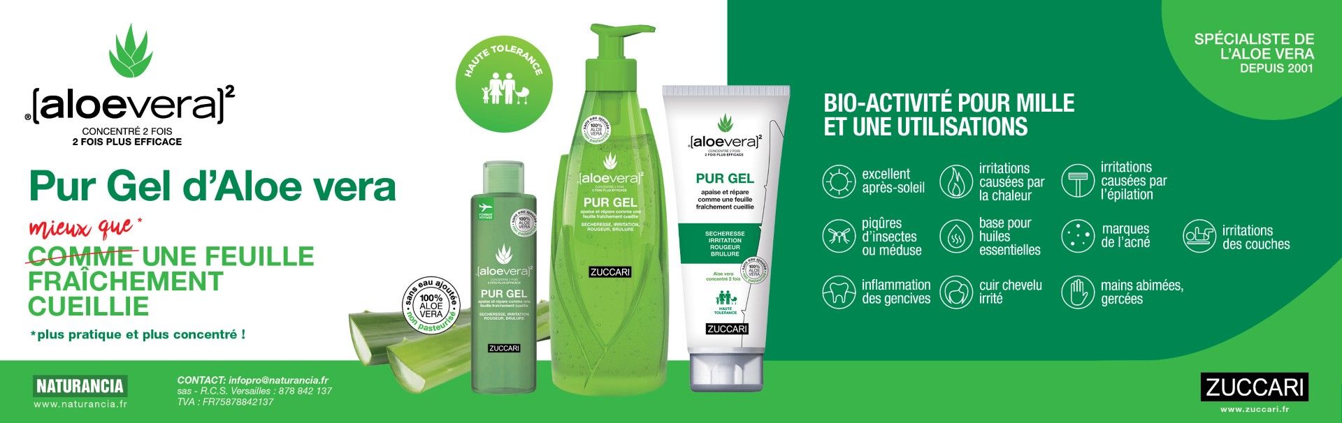 Aloe vera banner Aug 26