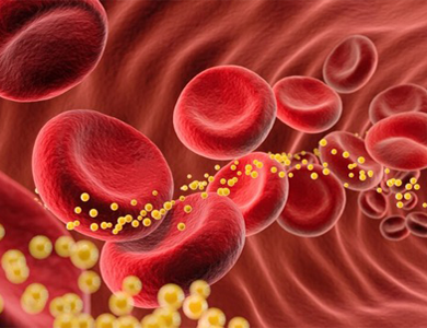 &laquo; J'ai du cholest&eacute;rol &raquo; : quels conseils cl&eacute;s ?
