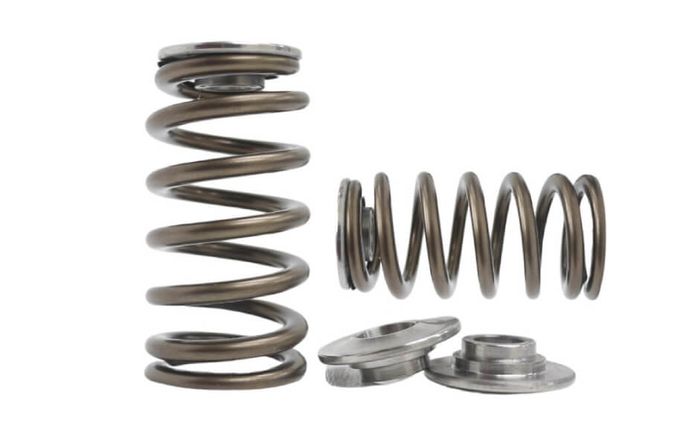 Kelford KVS valve springs