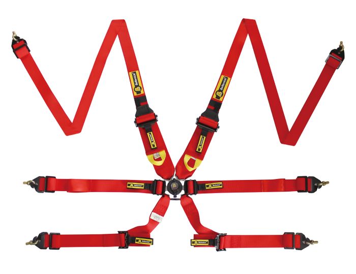FIA Approved Harness