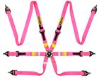 FIA Approved Harness