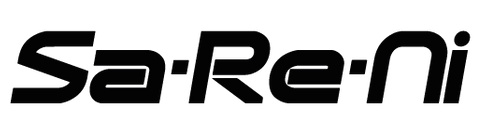 Holinger Europe - SaReNI GmbH