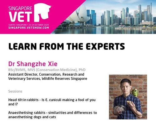 Speaker in the Spotlight: Dr Shangzhe Xie