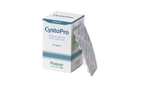 Protexin - CystoPro