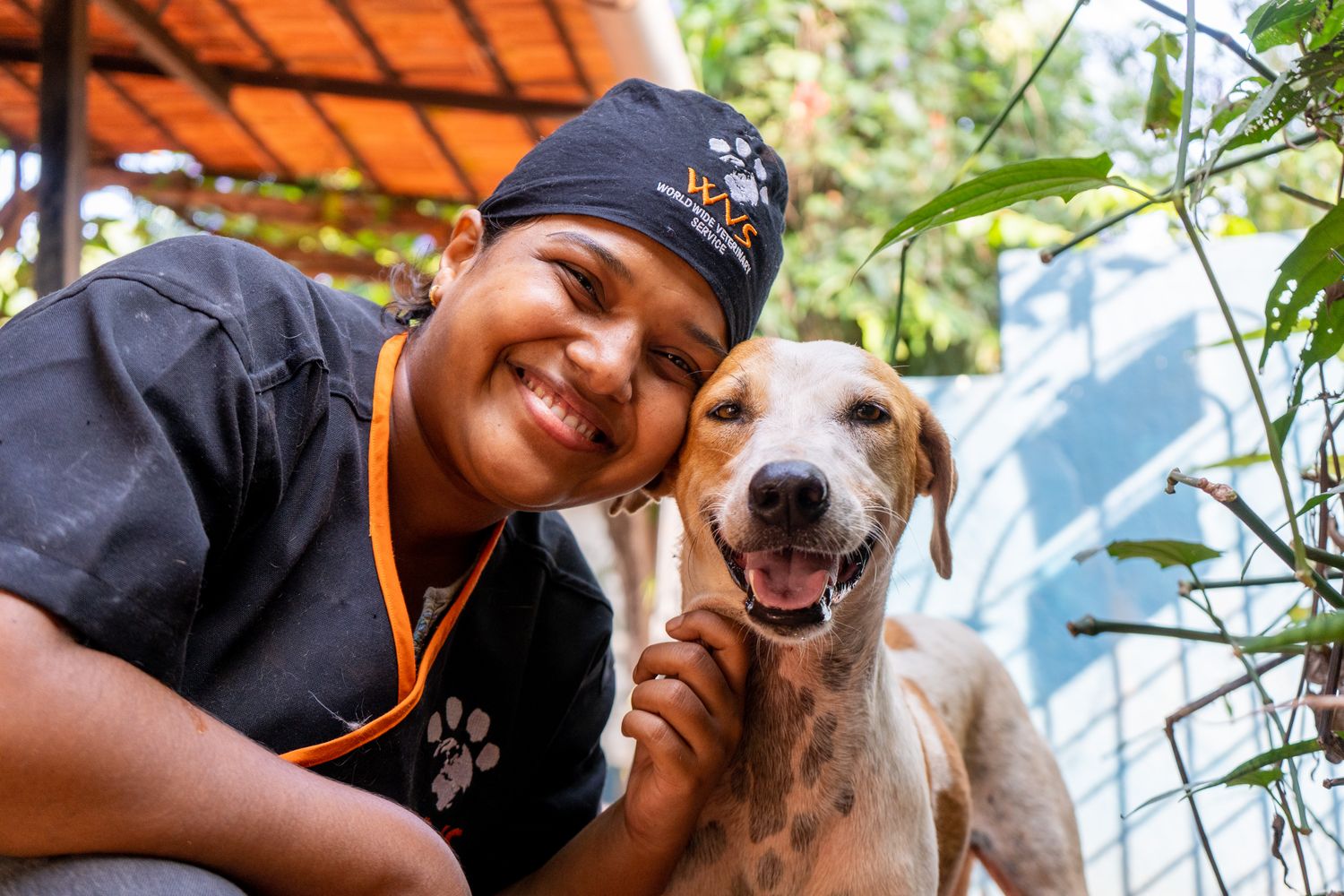 Worldwide Veterinary Service & Mission Rabies