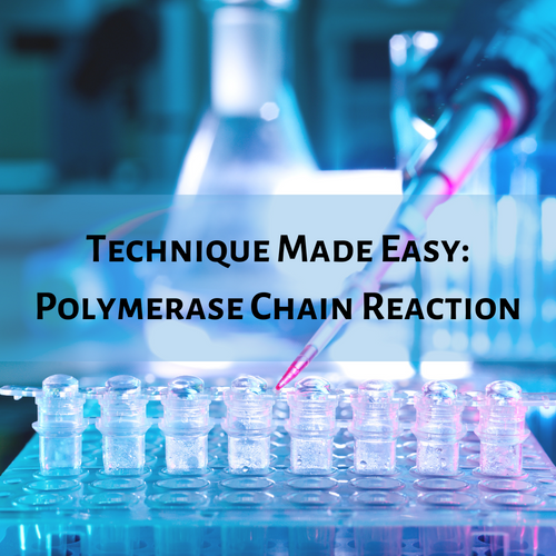 Technique Made Easy: Polymerase Chain Reaction