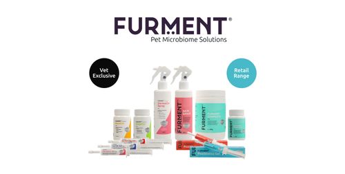 Postbiotics for Pets: Singapore firm develops range for four key health concerns