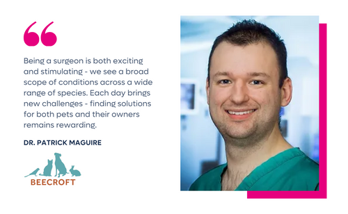 Meet Dr. Patrick Maguire from Beecroft