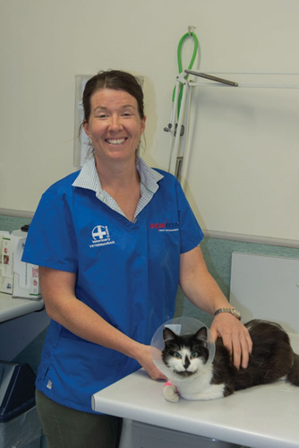 Massey University's Master of Veterinary Medicine