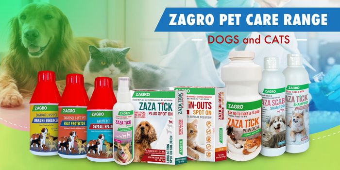 Zagro launched innovative products to solve the infestation of pets with internal and external parasites for small animals