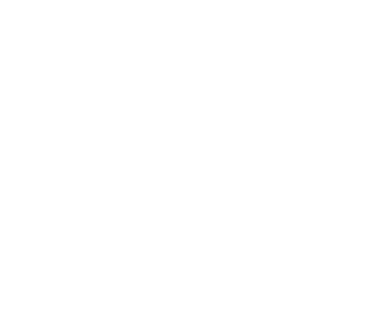 Vet Portfolio Logo
