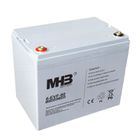 Lead-acid VRLA Battery and plates