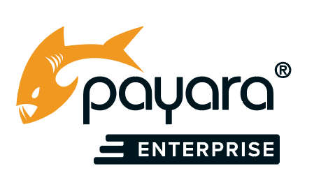 Payara Server Enterprise