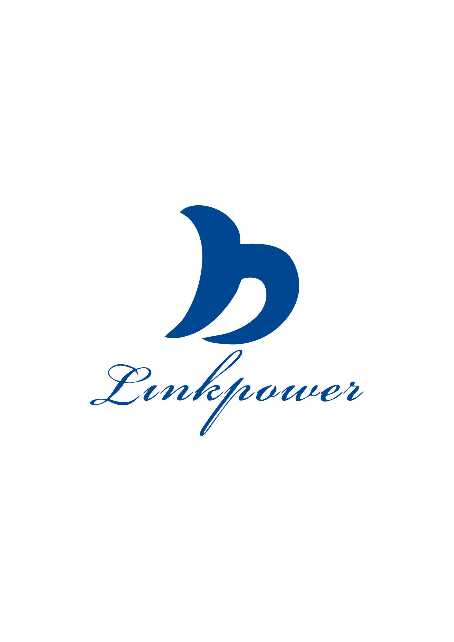 Linkpower Electronics Co., Ltd