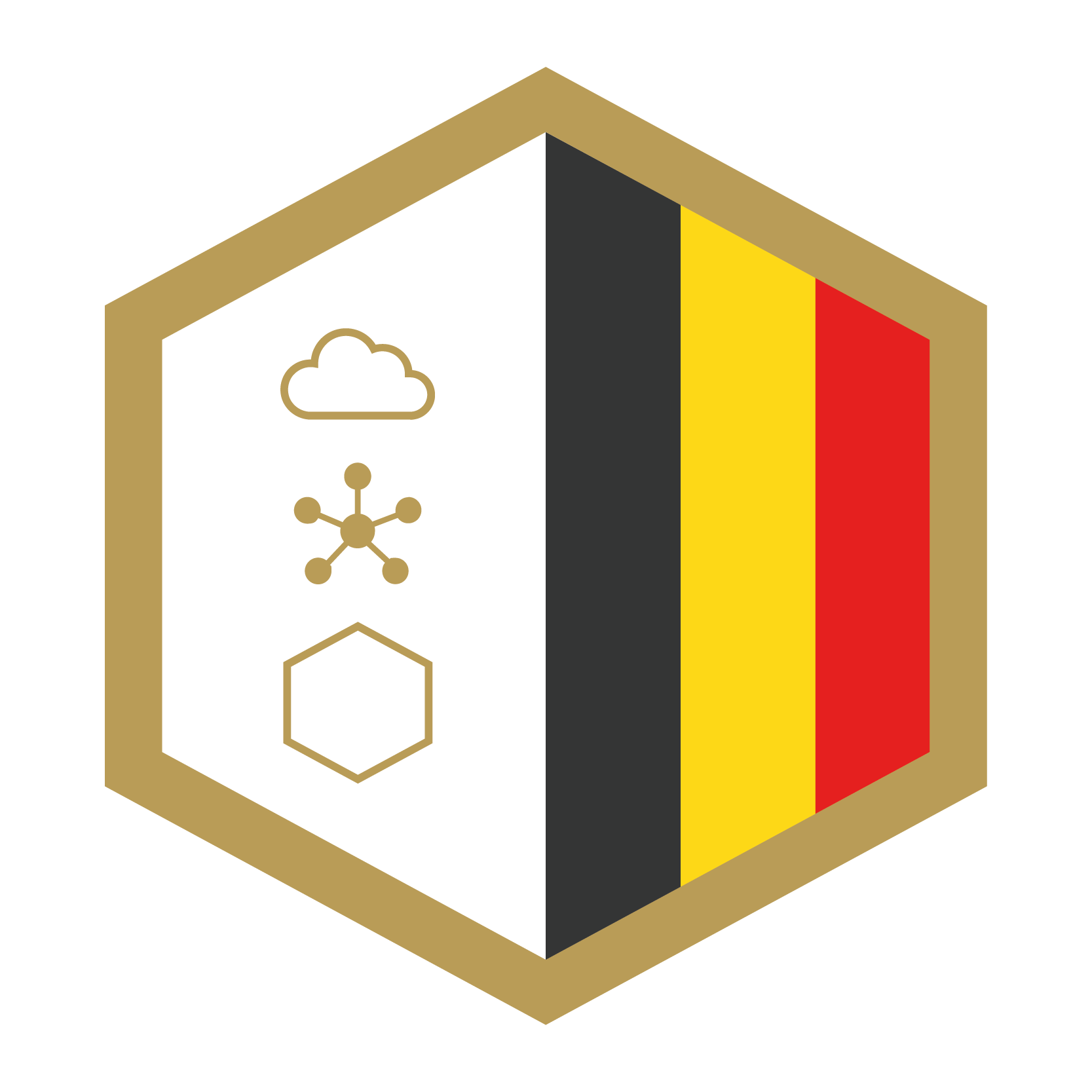 BDIA (Belgian Digital Infrastructure Association)