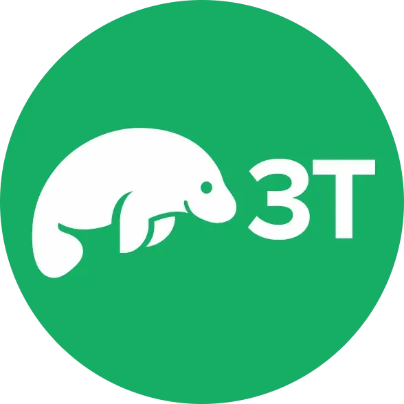 3T logo