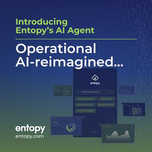 Entopy's AI Agent 