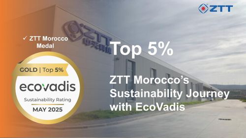 Ranked in the Top 5% Globally, ZTT Morocco Awarded EcoVadis Gold Medal