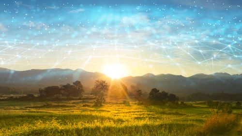 The Sun Rises on Scale-Up Ethernet